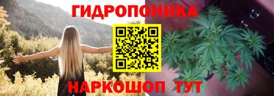 mix Будённовск