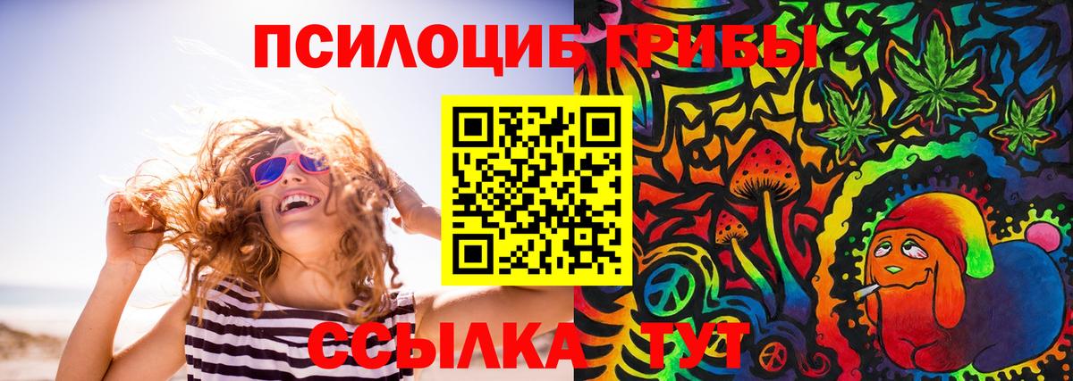Галлюциногенные грибы Psilocybine cubensis Рузаевка