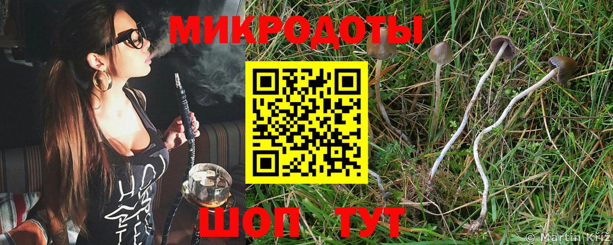 цены   Вход с VPN  Рузаевка  Галлюциногенные грибы Psilocybine cubensis  Псилоцибиновые грибы MAGIC MUSHROOMS 